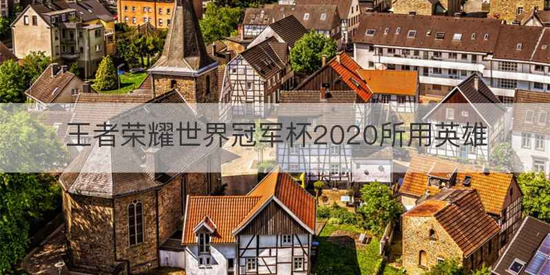 王者荣耀世界冠军杯2020所用英雄