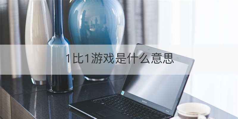 1比1游戏是什么意思