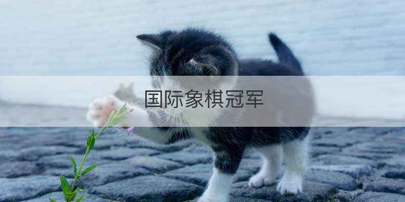 国际象棋冠军