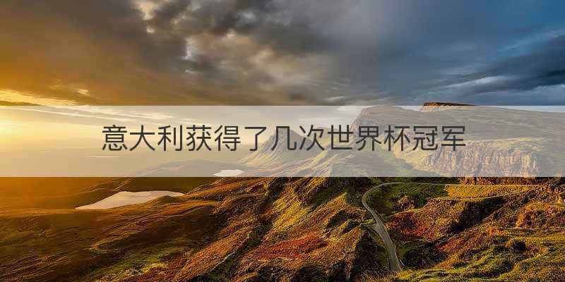 意大利获得了几次世界杯冠军