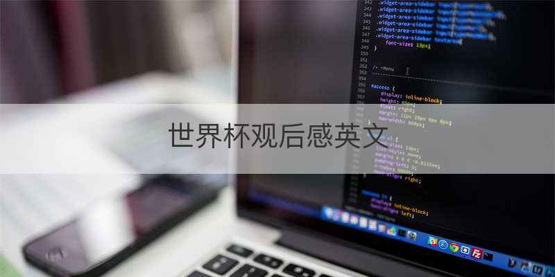 世界杯观后感英文