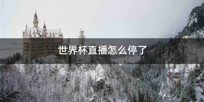世界杯直播怎么停了