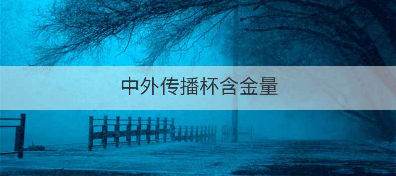 中外传播杯含金量