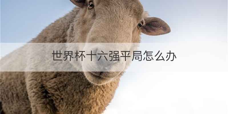 世界杯十六强平局怎么办