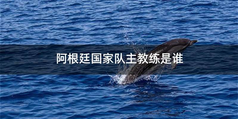 阿根廷国家队主教练是谁