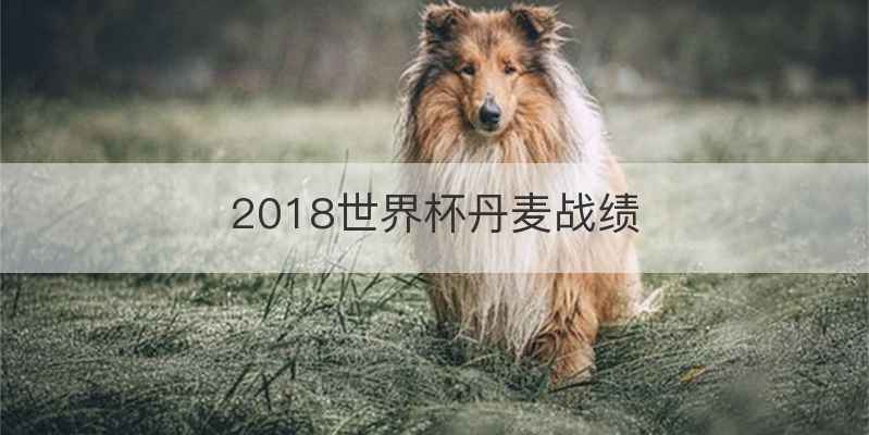 2018世界杯丹麦战绩