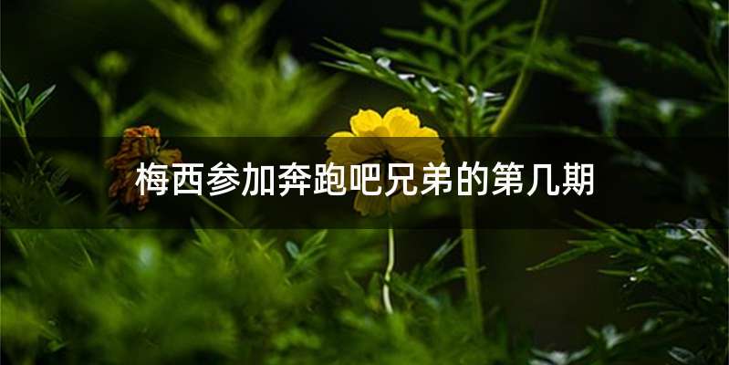 梅西参加奔跑吧兄弟的第几期