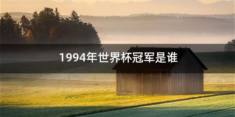 1994年世界杯冠军是谁