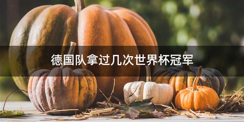 德国队拿过几次世界杯冠军