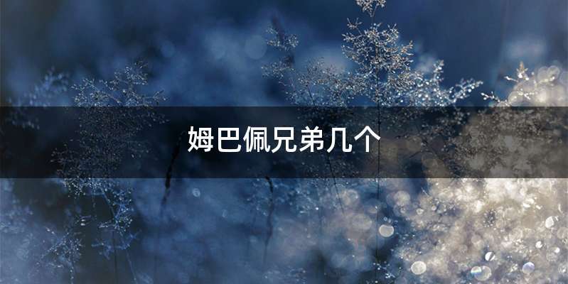 姆巴佩兄弟几个