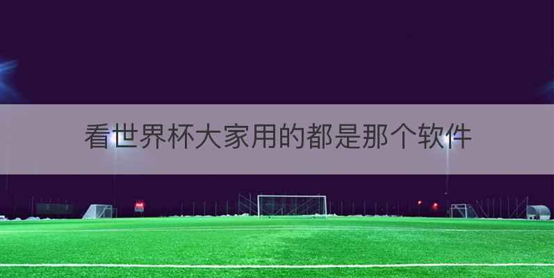 看世界杯大家用的都是那个软件