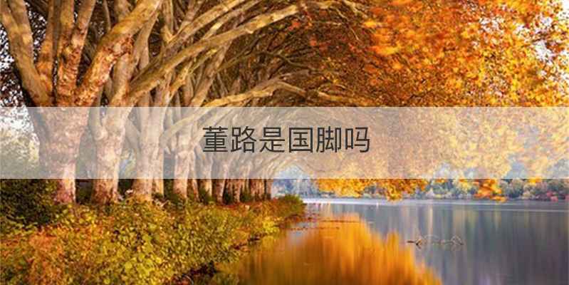 董路是国脚吗