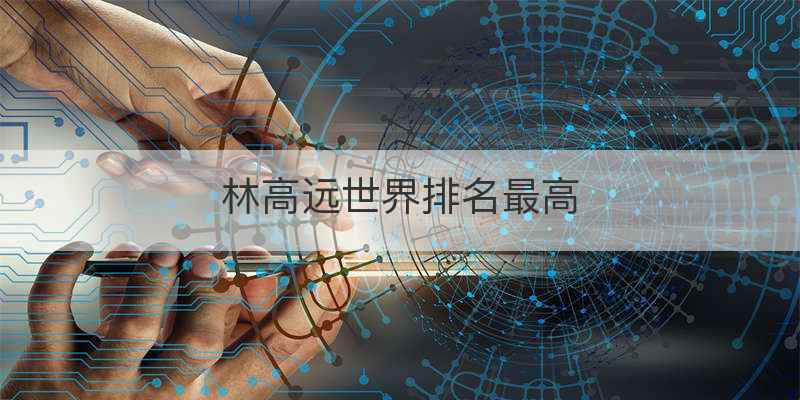 林高远世界排名最高