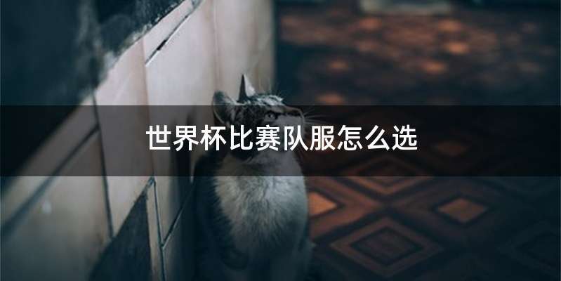 世界杯比赛队服怎么选