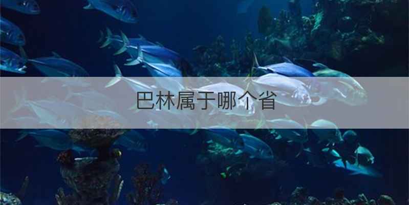 巴林属于哪个省