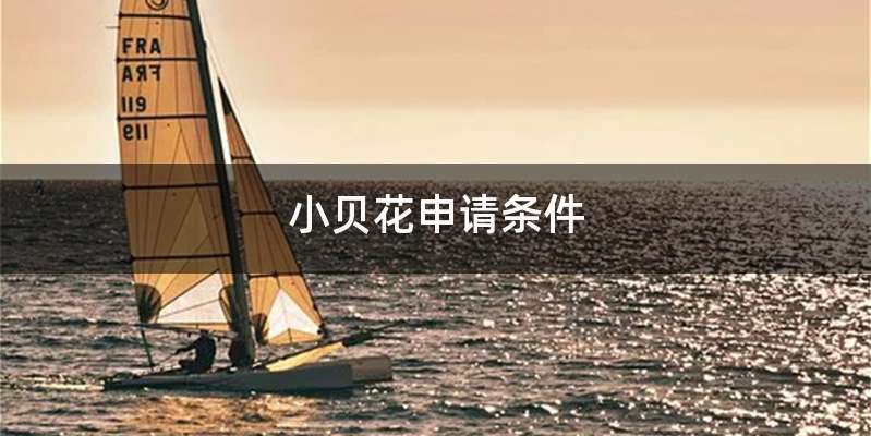 小贝花申请条件
