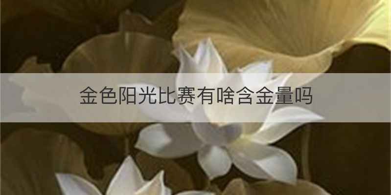 金色阳光比赛有啥含金量吗