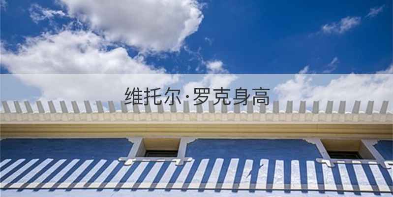 维托尔·罗克身高