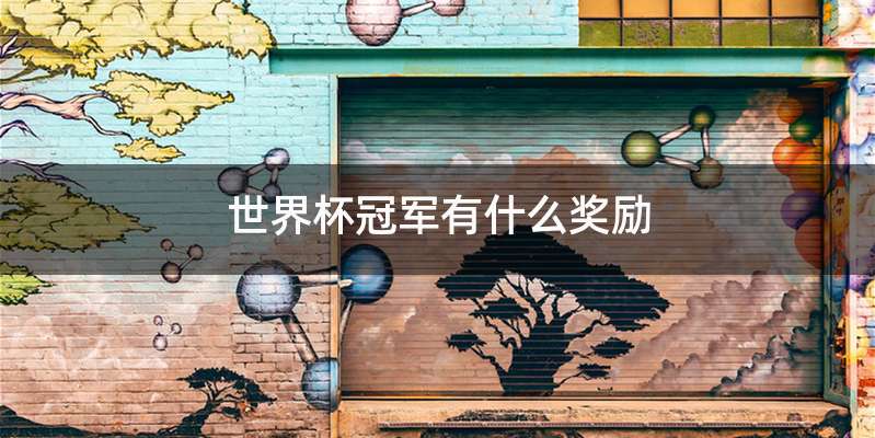 世界杯冠军有什么奖励