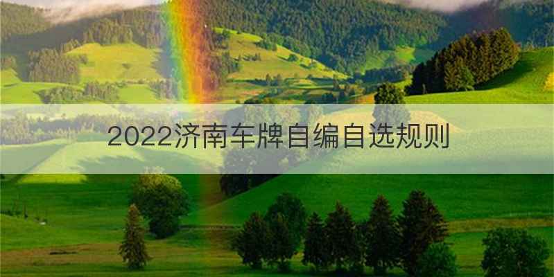 2022济南车牌自编自选规则