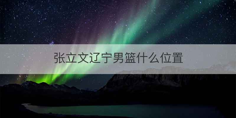 张立文辽宁男篮什么位置