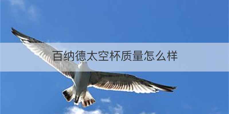 百纳德太空杯质量怎么样