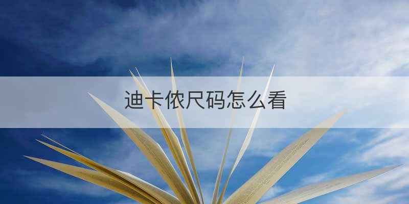 迪卡侬尺码怎么看