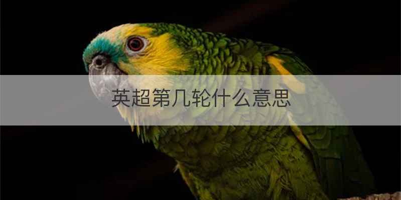 英超第几轮什么意思