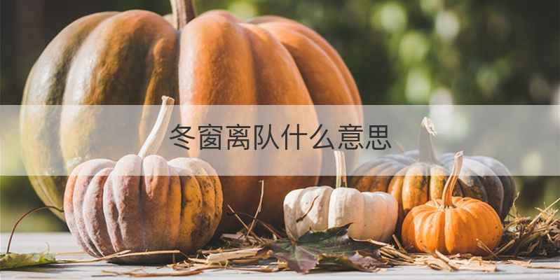 冬窗离队什么意思