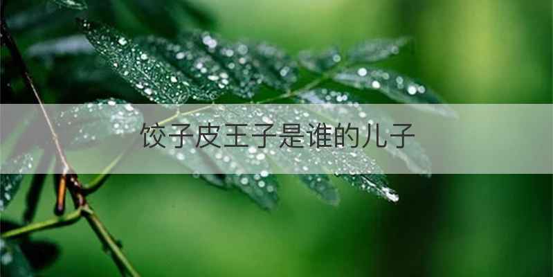 饺子皮王子是谁的儿子