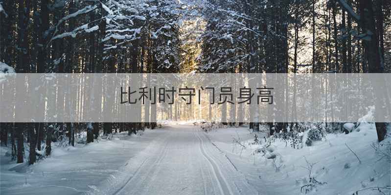 比利时守门员身高