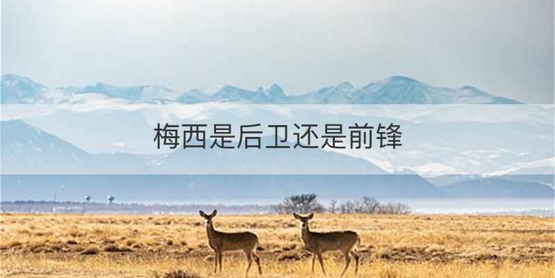 梅西是后卫还是前锋