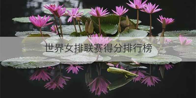 世界女排联赛得分排行榜