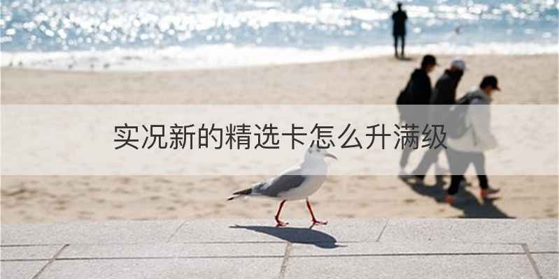 实况新的精选卡怎么升满级