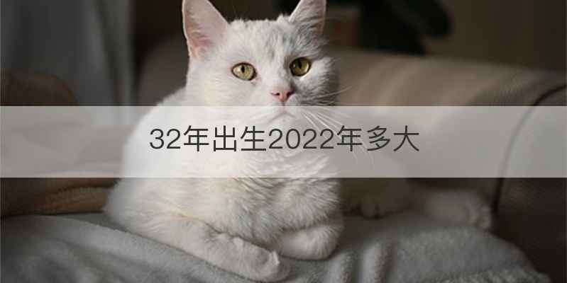 32年出生2022年多大