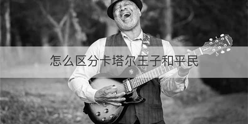怎么区分卡塔尔王子和平民