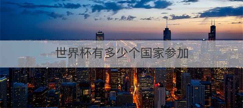 世界杯有多少个国家参加