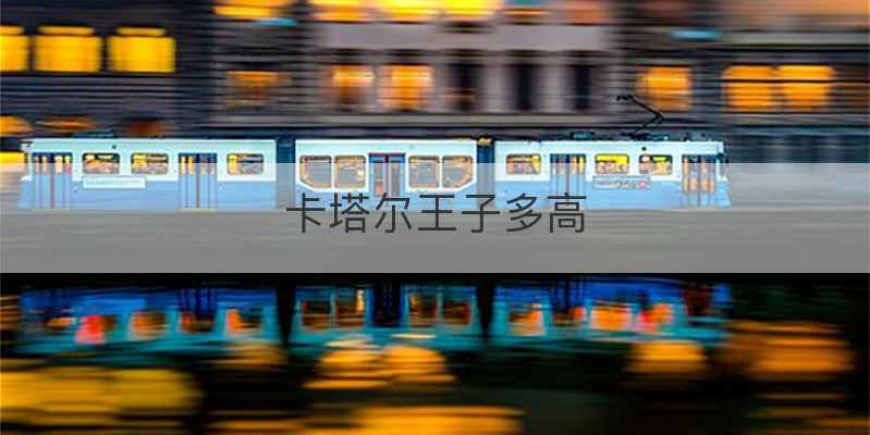 卡塔尔王子多高