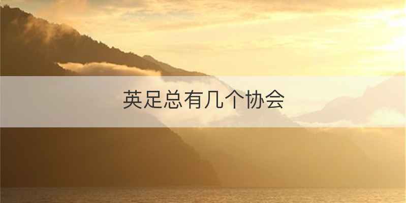 英足总有几个协会