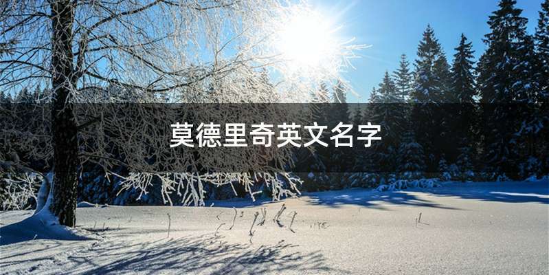 莫德里奇英文名字