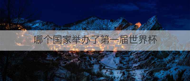 哪个国家举办了第一届世界杯