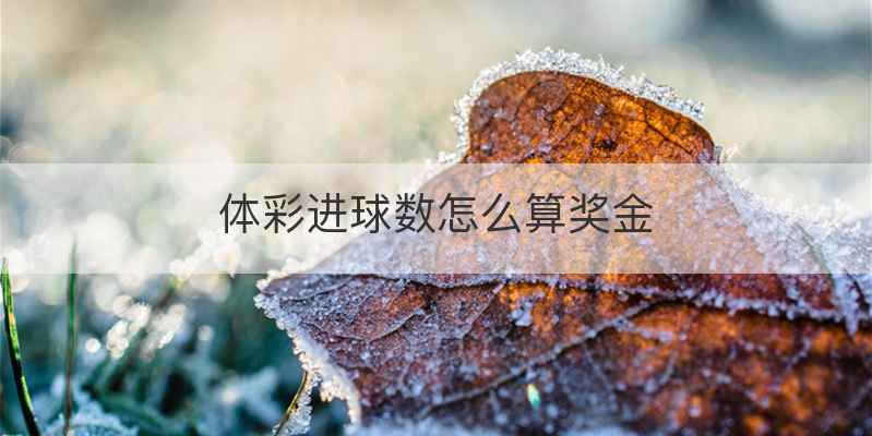 体彩进球数怎么算奖金
