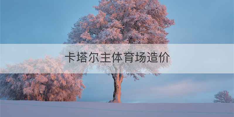 卡塔尔主体育场造价