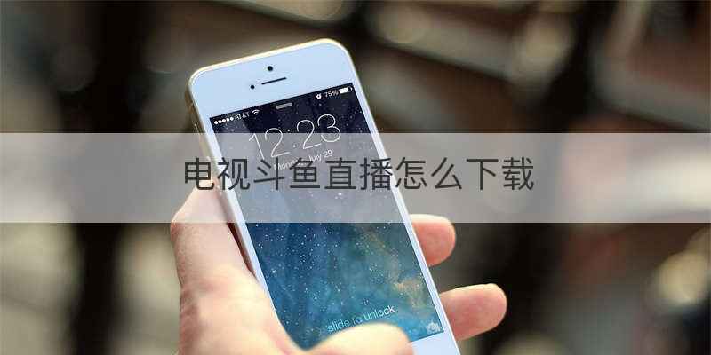 电视斗鱼直播怎么下载