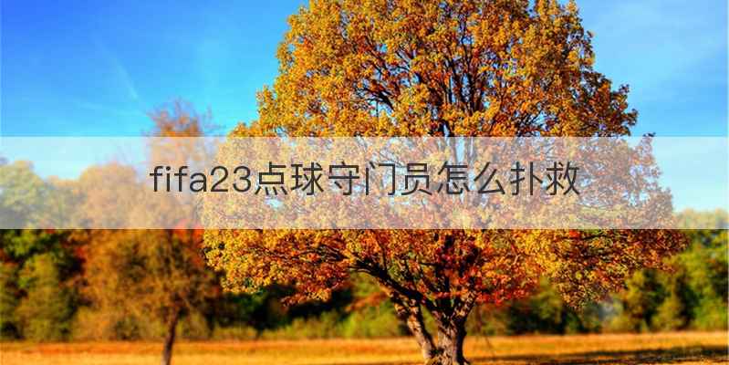 fifa23点球守门员怎么扑救