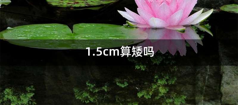 1.5cm算矮吗