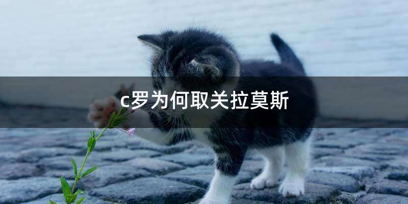 c罗为何取关拉莫斯