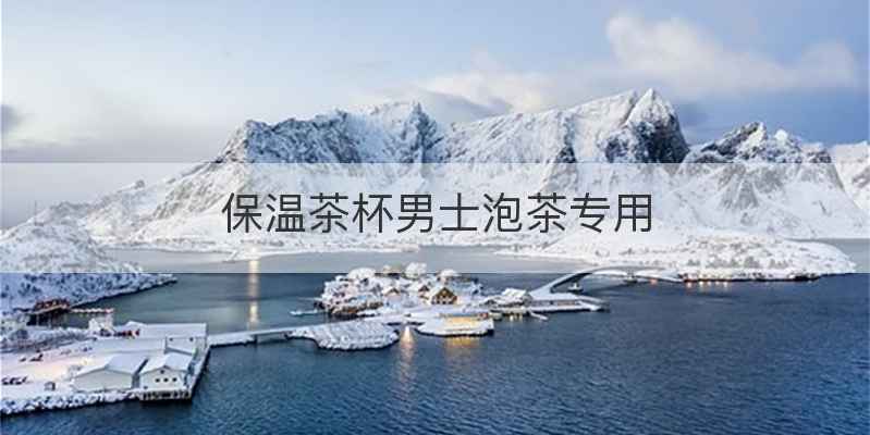 保温茶杯男士泡茶专用