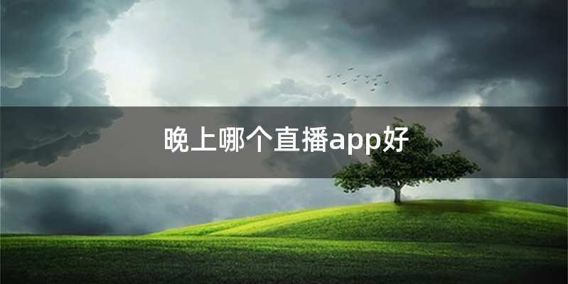 晚上哪个直播app好