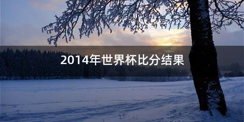 2014年世界杯比分结果